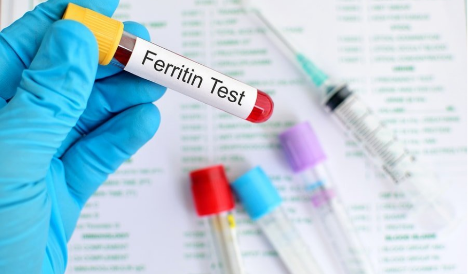 تحاليل فقر الدم